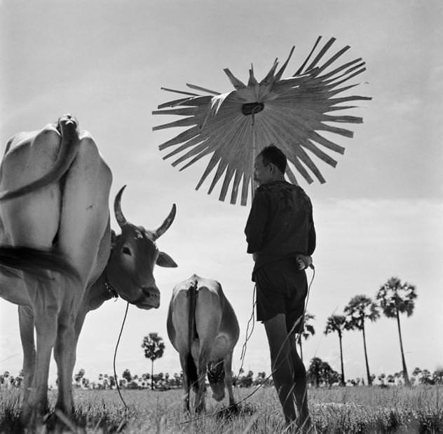 Werner-Bischof-1952_gal_autore_12_col_portrait_sh