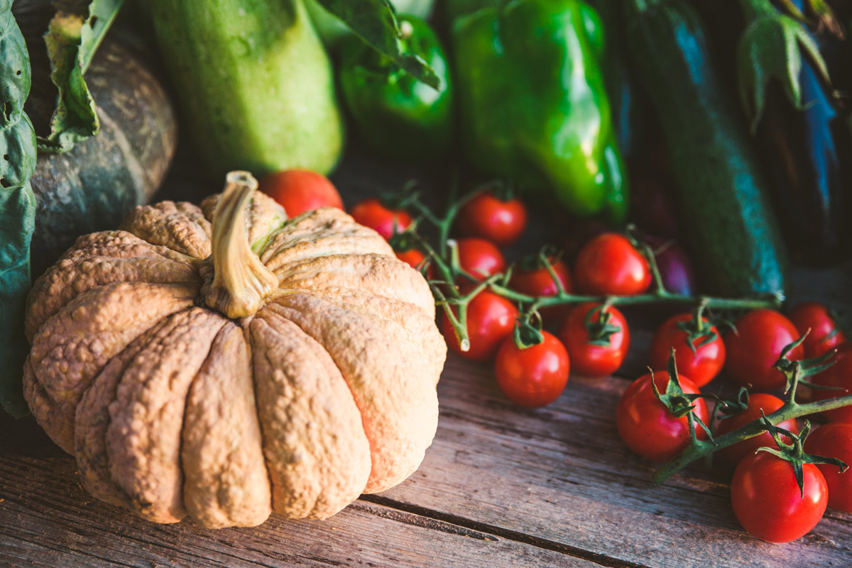 Azienda agricola canali-8